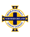 Maillot Irlande du nord Mondial-2014