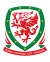Maillot Pays de Galles Mondial-2014